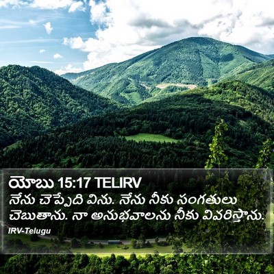 యోబు 15:17 TELIRV Bible Verse Image