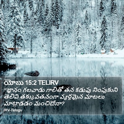 యోబు 15:2 TELIRV Bible Verse Image
