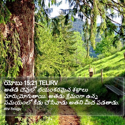 యోబు 15:21 TELIRV Bible Verse Image