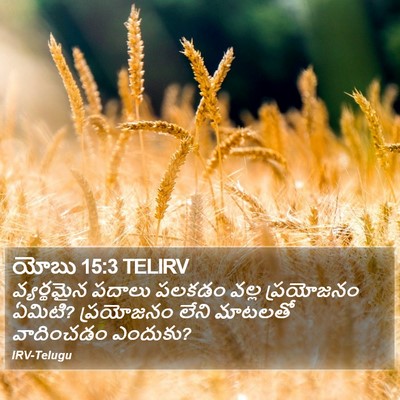 యోబు 15:3 TELIRV Bible Verse Image