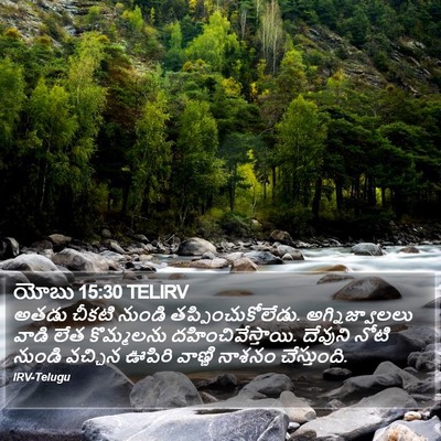 యోబు 15:30 TELIRV Bible Verse Image