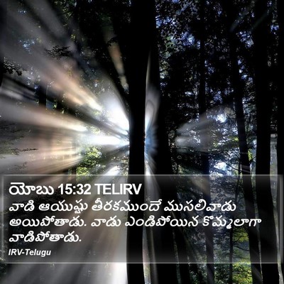 యోబు 15:32 TELIRV Bible Verse Image