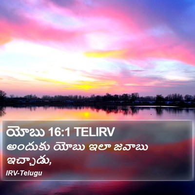 యోబు 16:1 TELIRV Bible Verse Image