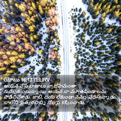 యోబు 16:13 TELIRV Bible Verse Image