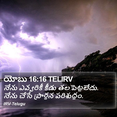 యోబు 16:16 TELIRV Bible Verse Image
