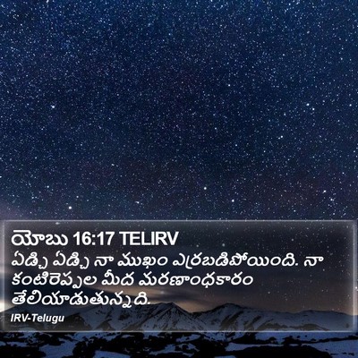 యోబు 16:17 TELIRV Bible Verse Image