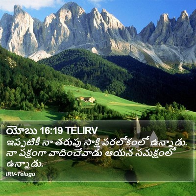 యోబు 16:19 TELIRV Bible Verse Image