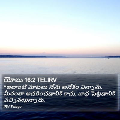 యోబు 16:2 TELIRV Bible Verse Image
