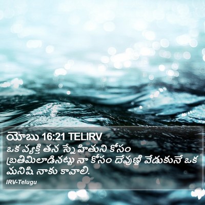 యోబు 16:21 TELIRV Bible Verse Image
