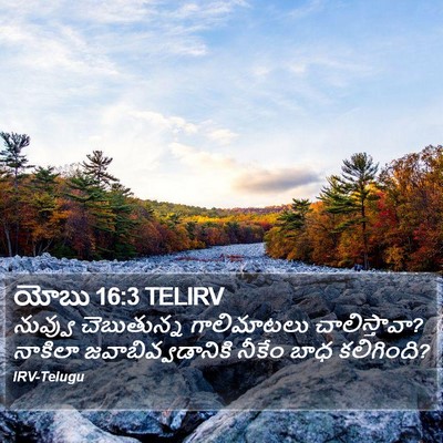 యోబు 16:3 TELIRV Bible Verse Image