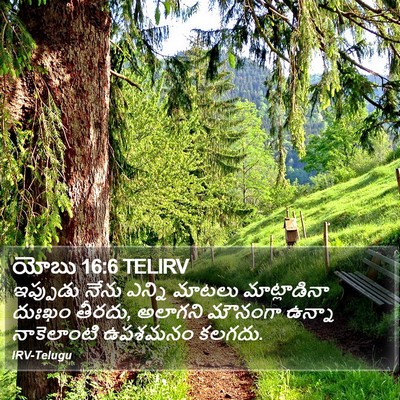 యోబు 16:6 TELIRV Bible Verse Image