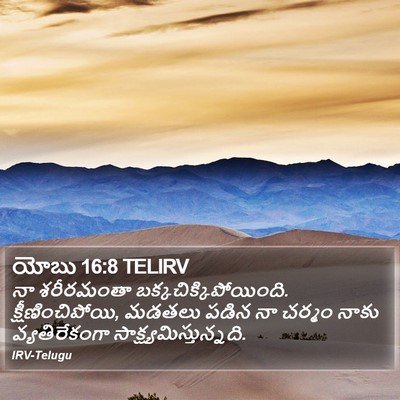 యోబు 16:8 TELIRV Bible Verse Image