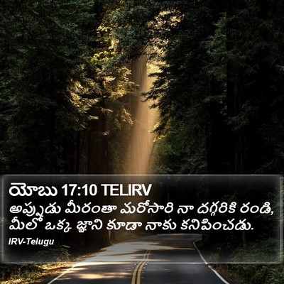 యోబు 17:10 TELIRV Bible Verse Image