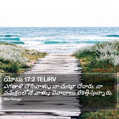 యోబు 17:2 TELIRV Bible Verse Image