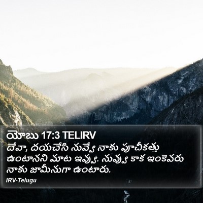 యోబు 17:3 TELIRV Bible Verse Image