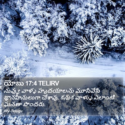 యోబు 17:4 TELIRV Bible Verse Image