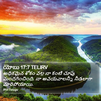 యోబు 17:7 TELIRV Bible Verse Image