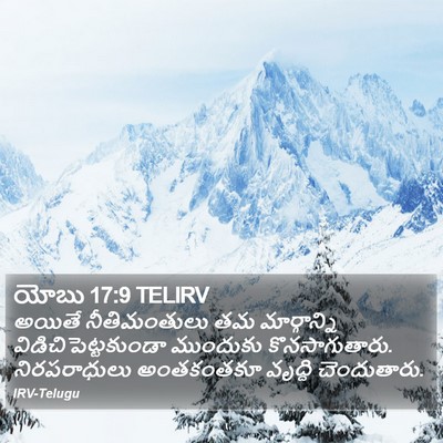 యోబు 17:9 TELIRV Bible Verse Image