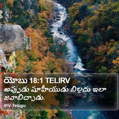 యోబు 18:1 TELIRV Bible Verse Image