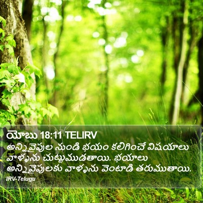 యోబు 18:11 TELIRV Bible Verse Image