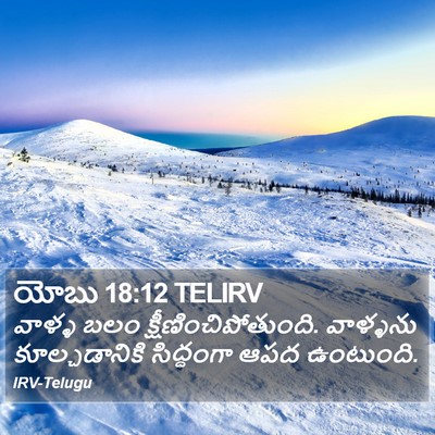 యోబు 18:12 TELIRV Bible Verse Image