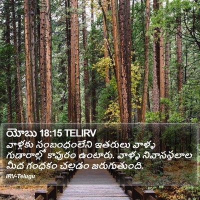 యోబు 18:15 TELIRV Bible Verse Image