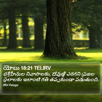 యోబు 18:21 TELIRV Bible Verse Image