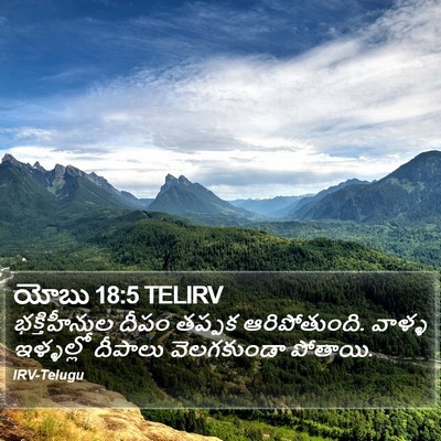 యోబు 18:5 TELIRV Bible Verse Image