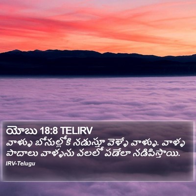 యోబు 18:8 TELIRV Bible Verse Image