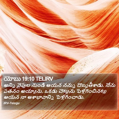 యోబు 19:10 TELIRV Bible Verse Image