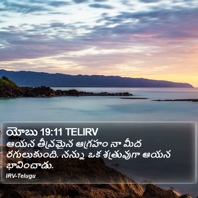 యోబు 19:11 TELIRV Bible Verse Image