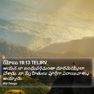 యోబు 19:13 TELIRV Bible Verse Image