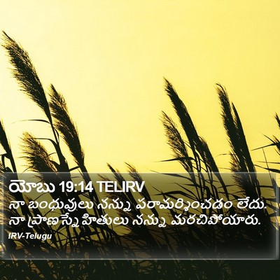 యోబు 19:14 TELIRV Bible Verse Image