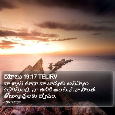 యోబు 19:17 TELIRV Bible Verse Image