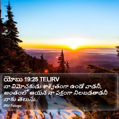 యోబు 19:25 TELIRV Bible Verse Image