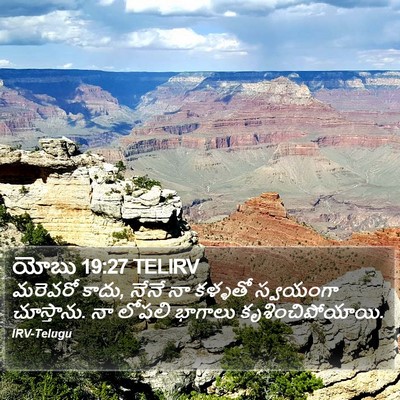 యోబు 19:27 TELIRV Bible Verse Image