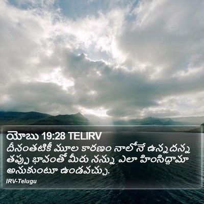 యోబు 19:28 TELIRV Bible Verse Image