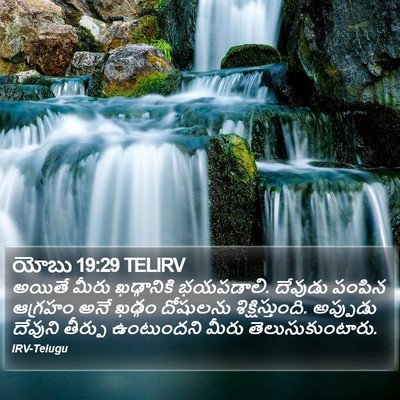 యోబు 19:29 TELIRV Bible Verse Image