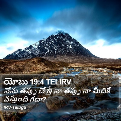 యోబు 19:4 TELIRV Bible Verse Image