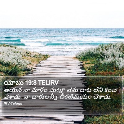 యోబు 19:8 TELIRV Bible Verse Image