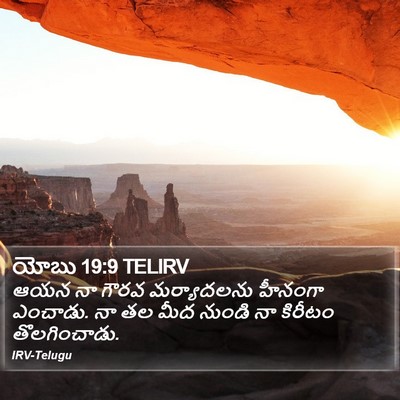 యోబు 19:9 TELIRV Bible Verse Image