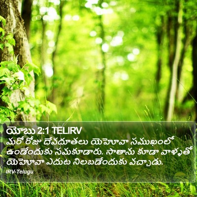 యోబు 2:1 TELIRV Bible Verse Image