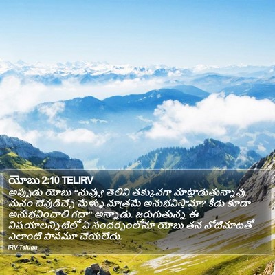 యోబు 2:10 TELIRV Bible Verse Image