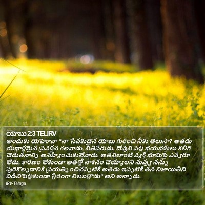 యోబు 2:3 TELIRV Bible Verse Image