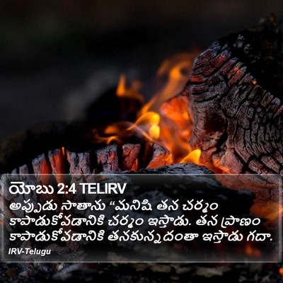 యోబు 2:4 TELIRV Bible Verse Image