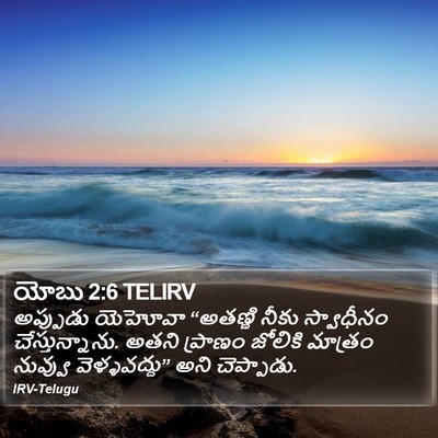 యోబు 2:6 TELIRV Bible Verse Image