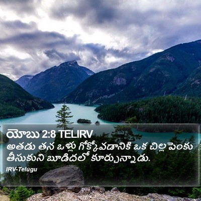 యోబు 2:8 TELIRV Bible Verse Image