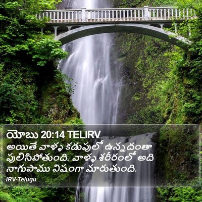 యోబు 20:14 TELIRV Bible Verse Image