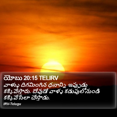 యోబు 20:15 TELIRV Bible Verse Image