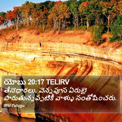 యోబు 20:17 TELIRV Bible Verse Image